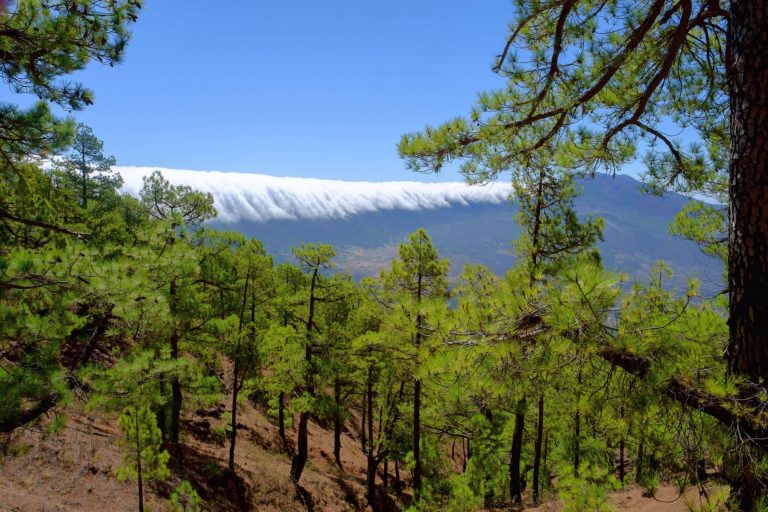 La Palma Travel Holiday Homes Car Rental La Palma Canary Island